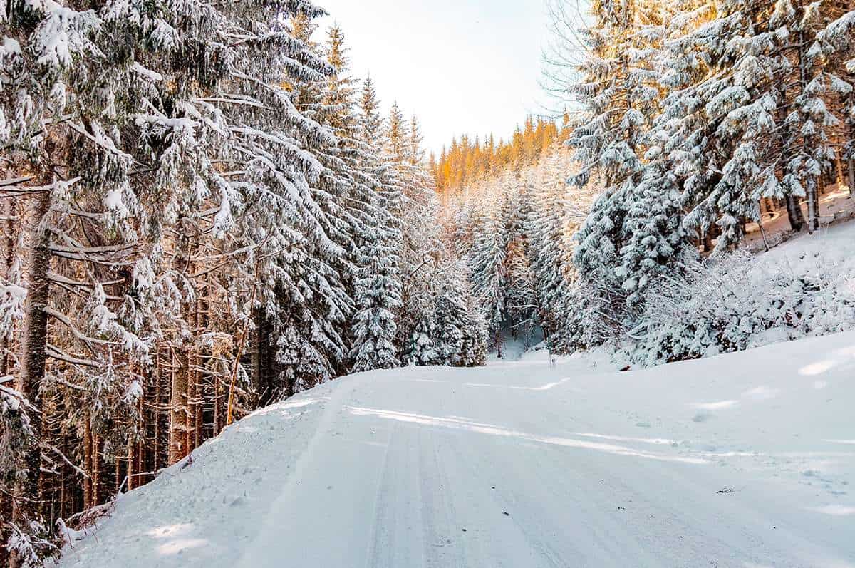 obbligo gomme invernali